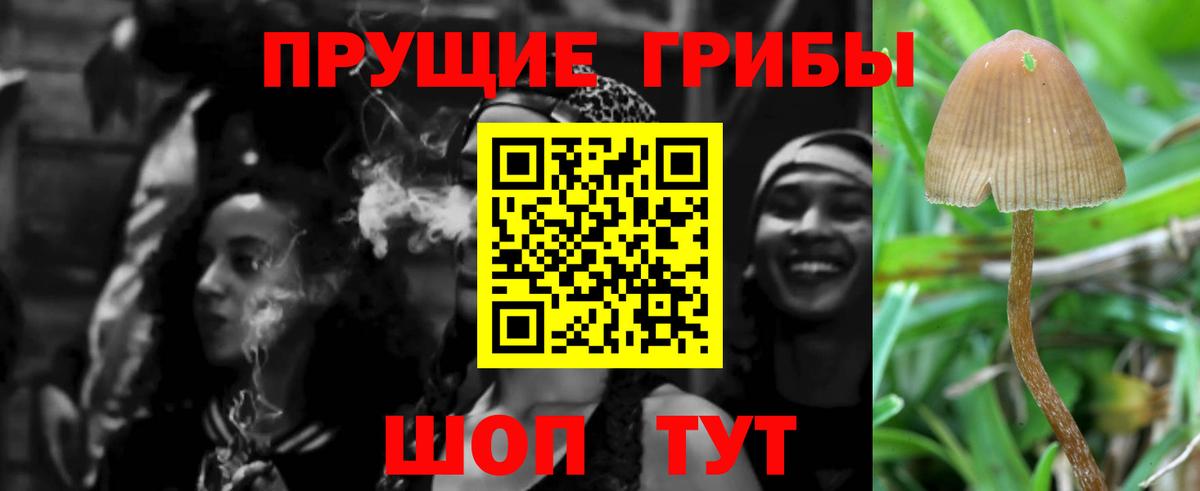 Галлюциногенные грибы Cubensis  Галлюциногенные грибы MAGIC MUSHROOMS  Знаменск  Вход с VPN 
